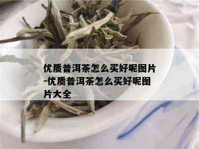 优质普洱茶怎么买好呢图片-优质普洱茶怎么买好呢图片大全