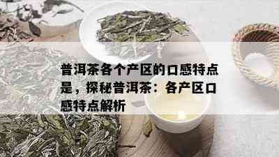 普洱茶各个产区的口感特点是，探秘普洱茶：各产区口感特点解析