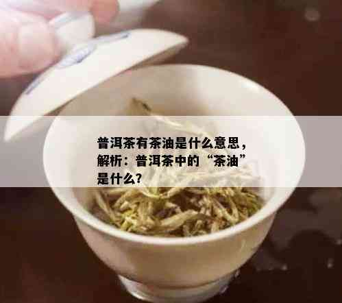 普洱茶有茶油是什么意思，解析：普洱茶中的“茶油”是什么？