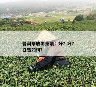 普洱茶放出茶油：好？坏？口感如何？