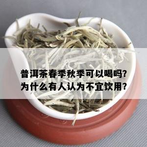 普洱茶春季秋季可以喝吗？为什么有人认为不宜饮用？