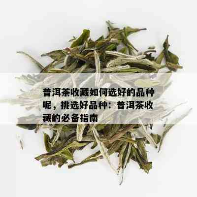 普洱茶收藏如何选好的品种呢，挑选好品种：普洱茶收藏的必备指南