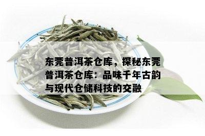 东莞普洱茶仓库，探秘东莞普洱茶仓库：品味千年古韵与现代仓储科技的交融