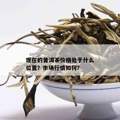 现在的普洱茶价格处于什么位置？市场行情如何？