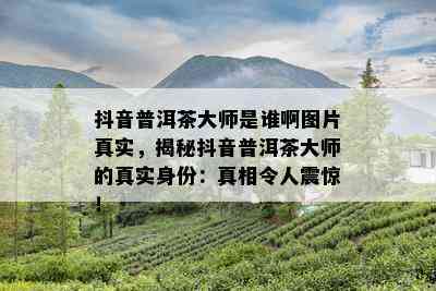 抖音普洱茶大师是谁啊图片真实，揭秘抖音普洱茶大师的真实身份：真相令人震惊！