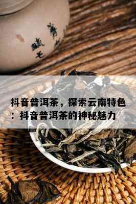 抖音普洱茶，探索云南特色：抖音普洱茶的神秘魅力