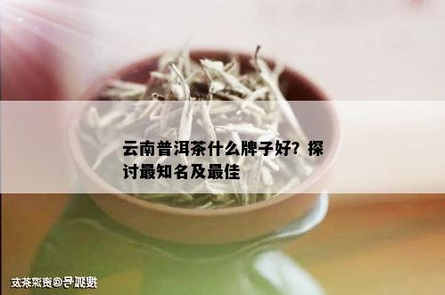 云南普洱茶什么牌子好？探讨最知名及更佳