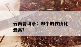 云南普洱茶：哪个的性价比更高？