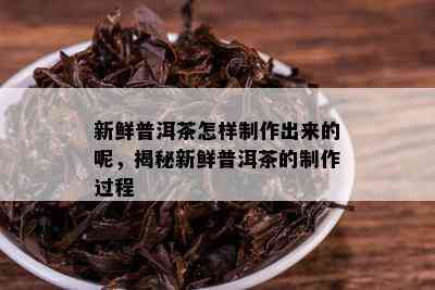 新鲜普洱茶怎样制作出来的呢，揭秘新鲜普洱茶的制作过程