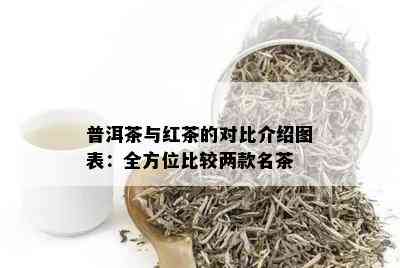 普洱茶与红茶的对比介绍图表：全方位比较两款名茶