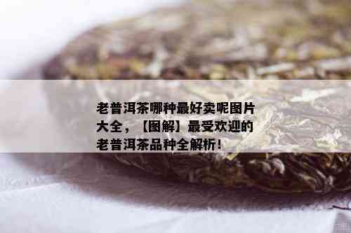 老普洱茶哪种更好卖呢图片大全，【图解】更受欢迎的老普洱茶品种全解析！