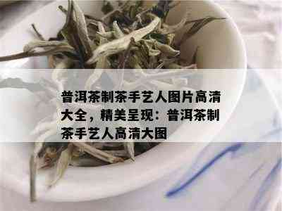 普洱茶制茶手艺人图片高清大全，精美呈现：普洱茶制茶手艺人高清大图