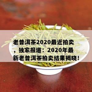 老普洱茶2020最近拍卖，独家报道：2020年最新老普洱茶拍卖结果揭晓！