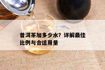 普洱茶加多少水？详解更佳比例与合适用量