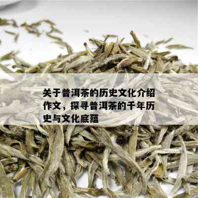 关于普洱茶的历史文化介绍作文，探寻普洱茶的千年历史与文化底蕴