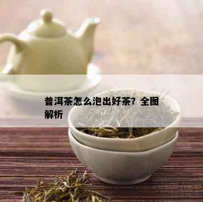 普洱茶怎么泡出好茶？全图解析