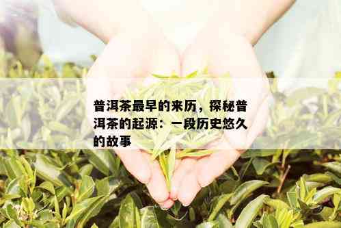 普洱茶最早的来历，探秘普洱茶的起源：一段历史悠久的故事