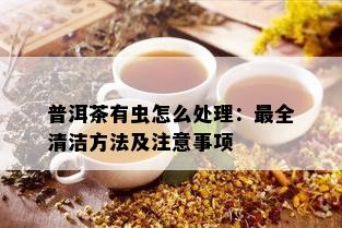 普洱茶有虫怎么处理：最全清洁方法及注意事项