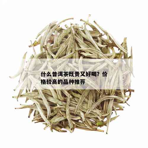 什么普洱茶既贵又好喝？价格较高的品种推荐