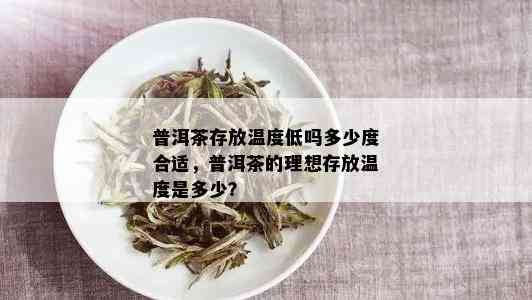 普洱茶存放温度低吗多少度合适，普洱茶的理想存放温度是多少？