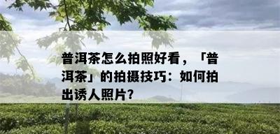 普洱茶怎么拍照好看，「普洱茶」的拍摄技巧：如何拍出诱人照片？