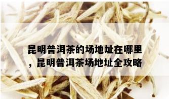 昆明普洱茶的场地址在哪里，昆明普洱茶场地址全攻略