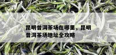 昆明普洱茶场在哪里，昆明普洱茶场地址全攻略