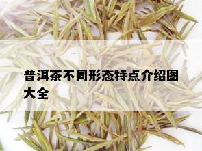 普洱茶不同形态特点介绍图大全