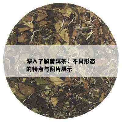 深入了解普洱茶：不同形态的特点与图片展示