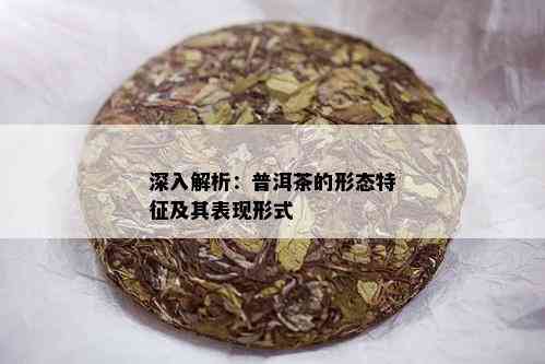 深入解析：普洱茶的形态特征及其表现形式