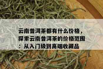 云南普洱茶都有什么价格，探索云南普洱茶的价格范围：从入门级到高端收藏品