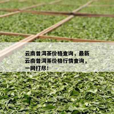 云南普洱茶价格查询，最新云南普洱茶价格行情查询，一网打尽！