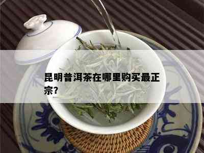 昆明普洱茶在哪里购买最正宗？