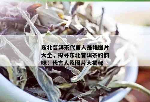 东北普洱茶代言人是谁图片大全，探寻东北普洱茶的韵味：代言人及图片大揭秘