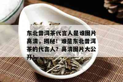 东北普洱茶代言人是谁图片高清，揭秘！谁是东北普洱茶的代言人？高清图片大公开！