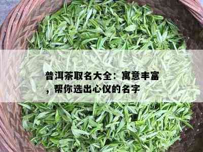 普洱茶取名大全：寓意丰富，帮你选出心仪的名字