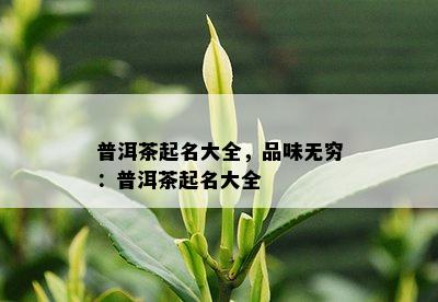 普洱茶起名大全，品味无穷：普洱茶起名大全