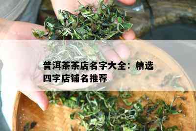 普洱茶茶店名字大全：精选四字店铺名推荐