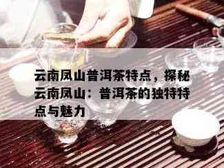 云南凤山普洱茶特点，探秘云南凤山：普洱茶的独特特点与魅力