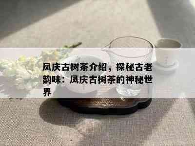 凤庆古树茶介绍，探秘古老韵味：凤庆古树茶的神秘世界