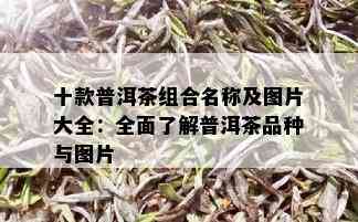 十款普洱茶组合名称及图片大全：全面了解普洱茶品种与图片