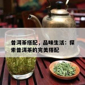 普洱茶搭配，品味生活：探索普洱茶的完美搭配