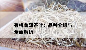 有机普洱茶叶：品种介绍与全面解析