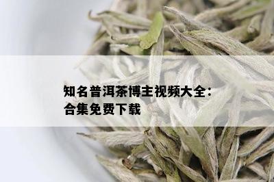 知名普洱茶博主视频大全：合集免费下载