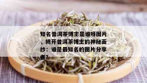 知名普洱茶博主是谁呀图片，揭开普洱茶博主的神秘面纱：谁是最知名的图片分享者？