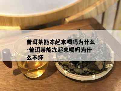 普洱茶能冻起来喝吗为什么-普洱茶能冻起来喝吗为什么不坏