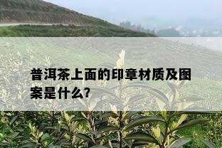 普洱茶上面的印章材质及图案是什么？