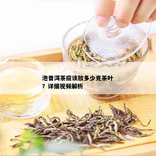 泡普洱茶应该放多少克茶叶？详细视频解析