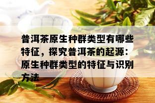 普洱茶原生种群类型有哪些特征，探究普洱茶的起源：原生种群类型的特征与识别方法