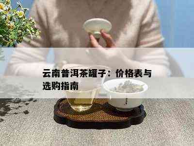 云南普洱茶罐子：价格表与选购指南